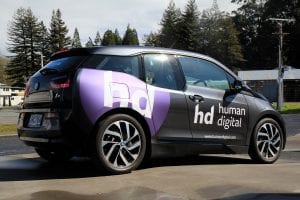 vehicle wrap